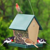 Recycled Plastic Bird Feeders